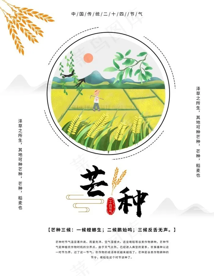 芒种图片(3543X4724(DPI:150))psd模版下载