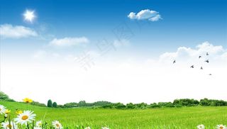 蓝天白云鲜花草地背景图片