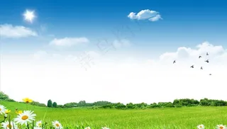 蓝天白云鲜花草地背景图片