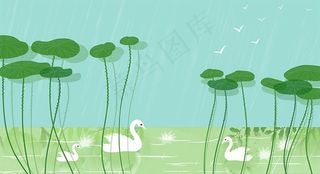 唯美清新可荷叶下天鹅戏水图图片