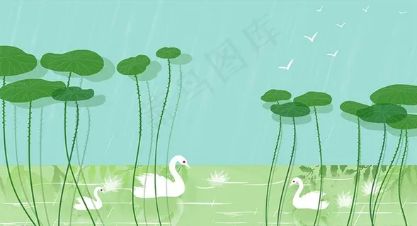 唯美清新可荷叶下天鹅戏水图图片 唯美清新可荷叶下天鹅戏水图图片