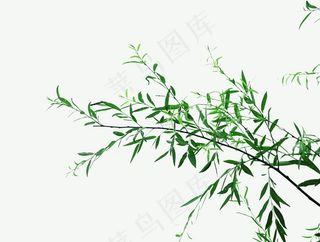 树枝图片