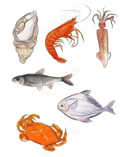 鱼虾蟹鱿鱼手绘海鲜合集图片