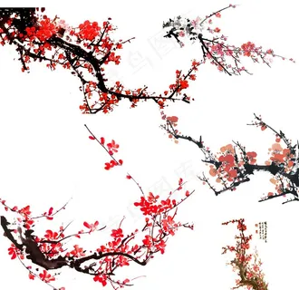 梅花图片 梅花图片