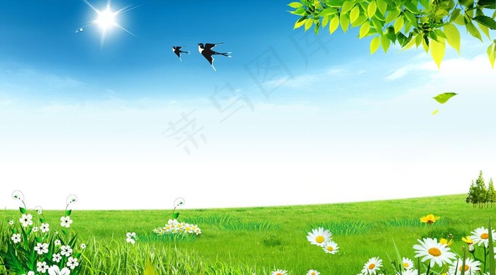 蓝天白云草地图片