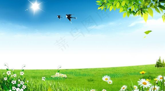 蓝天白云草地图片