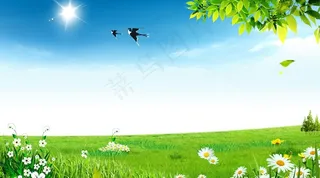 蓝天白云草地图片