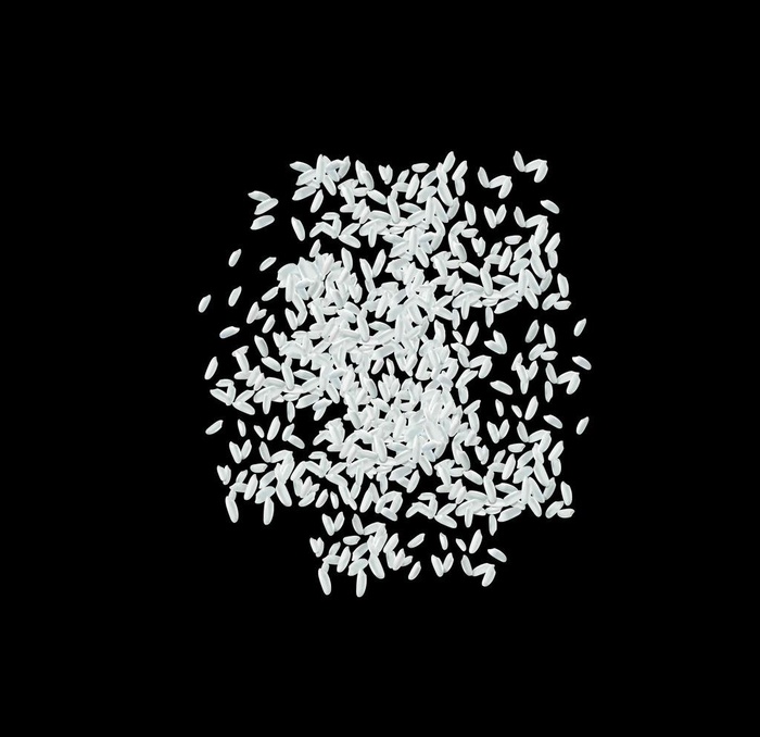 大米米粒图片(567X567)eps,ai矢量模版下载
