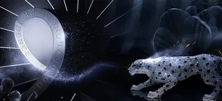 奢侈品豹子   地产广告图片