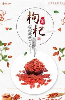 枸杞海报图片