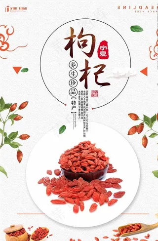 枸杞海报图片
