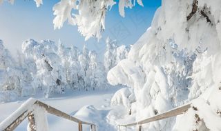 冬季小清新风景图片