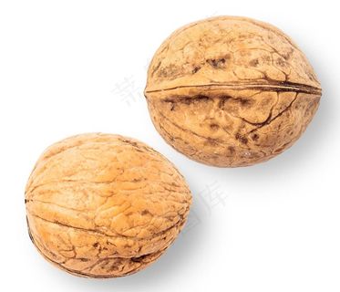 核桃图片