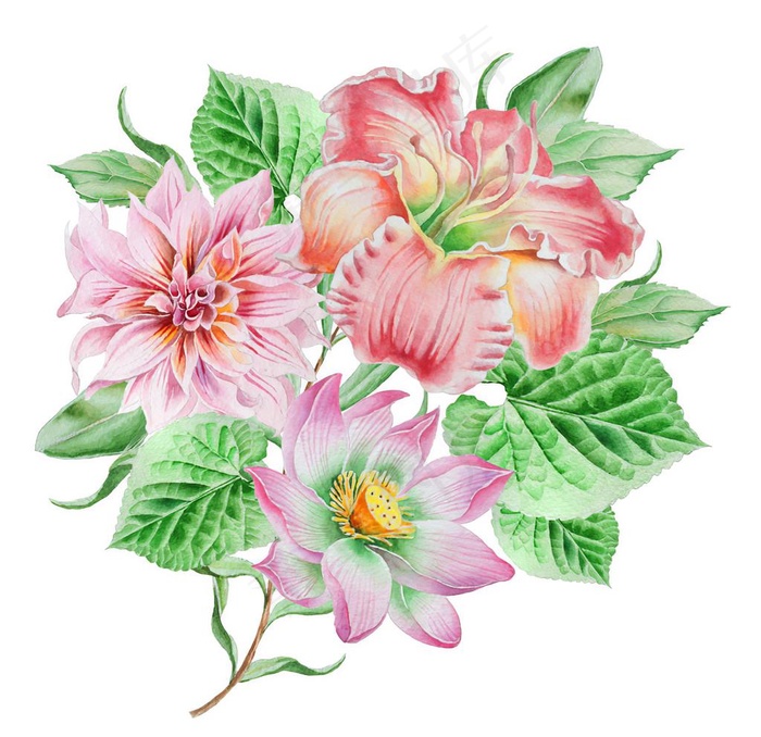 手绘花图片