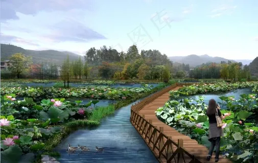 河道及荷花池改造图片