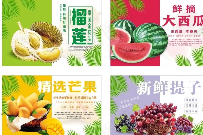 水果海报图片(900X600)cdr矢量模版下载