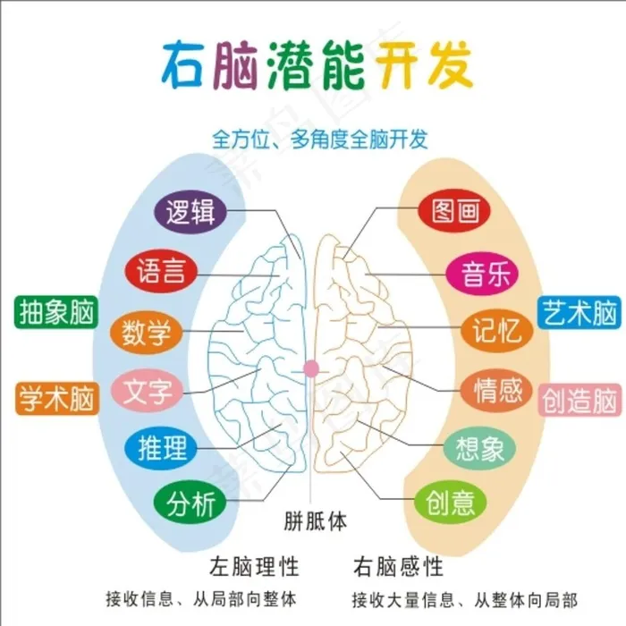 七田全脑教育图图片cdr矢量模版下载