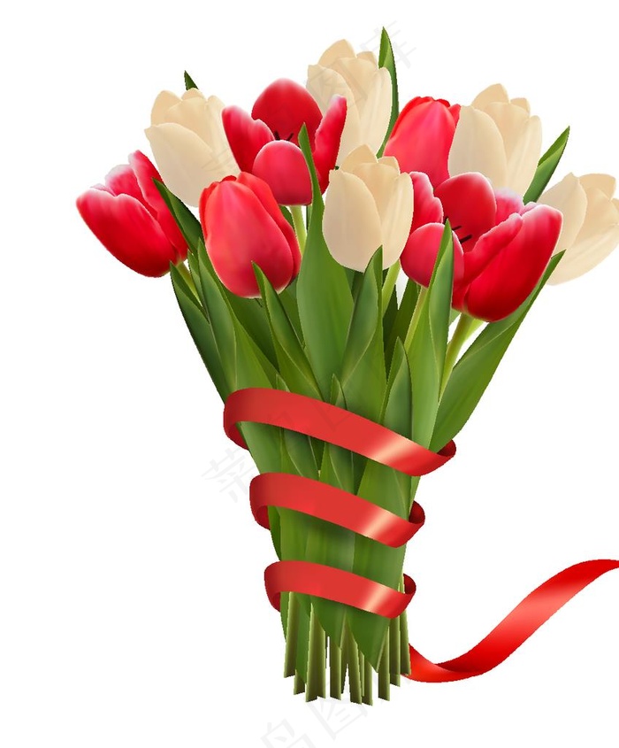 郁金香花束矢量图片
