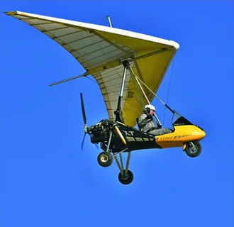 动力三角翼图片