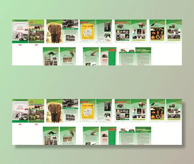 保护野生动物画册图片cdr矢量模版下载