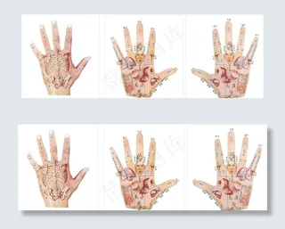 手掌全息图图片