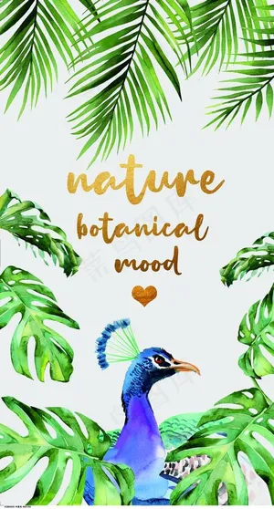 芭蕉叶 背景墙图片