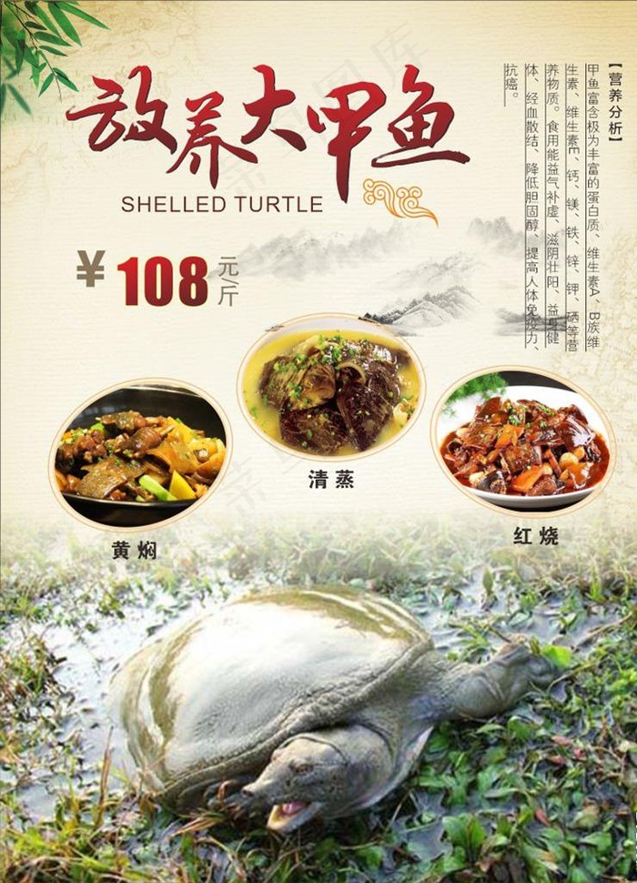 甲鱼海报图片cdr矢量模版下载