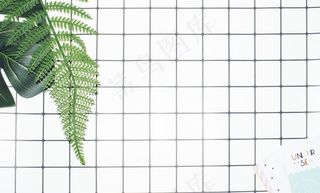 格子植物背景图片