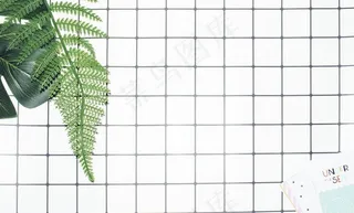 格子植物背景图片