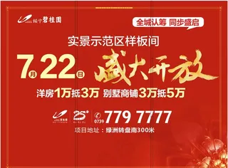 碧桂园巡游拉网展架图片