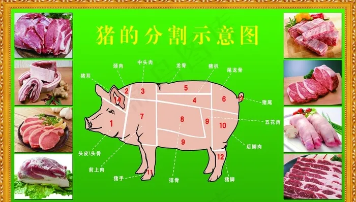 猪的分割示意图图片(5906X3543(DPI:50))psd模版下载