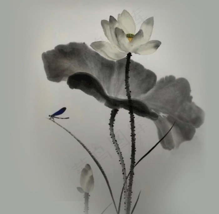 水墨荷花图片
