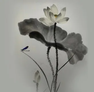水墨荷花图片