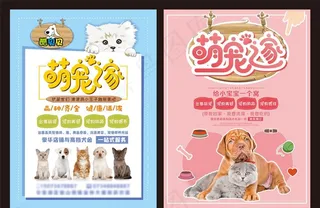 宠物店海报图片