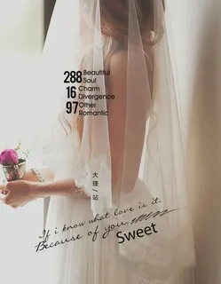 摄影旅行 婚纱写真海报图片