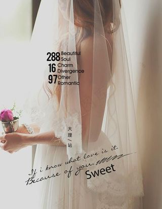 摄影旅行 婚纱写真海报图片