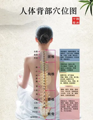 背部穴位图图片
