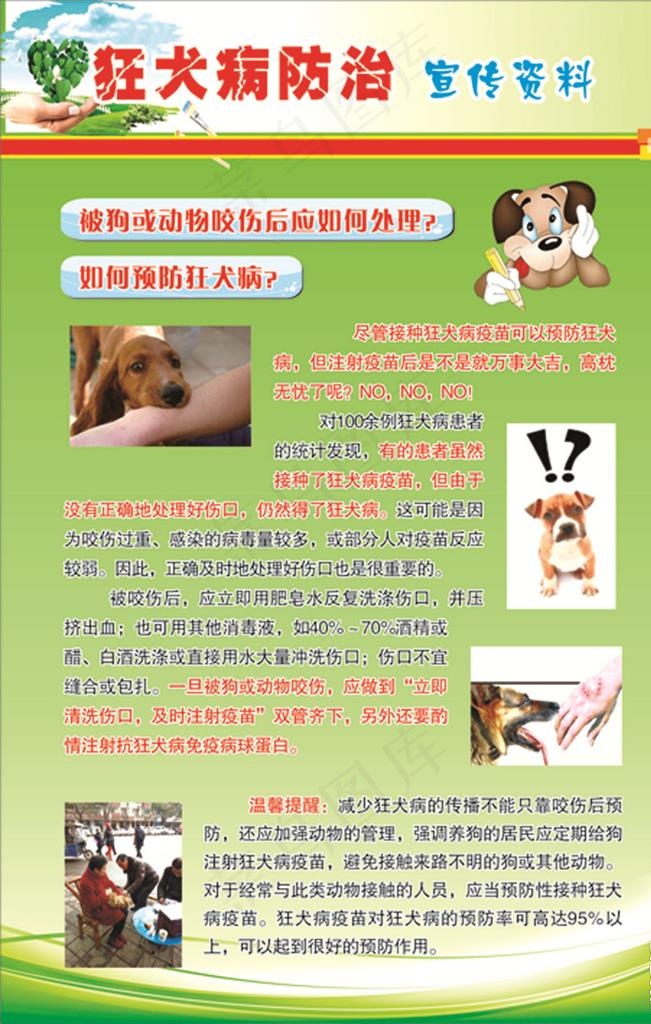 狂犬病知识图片cdr矢量模版下载