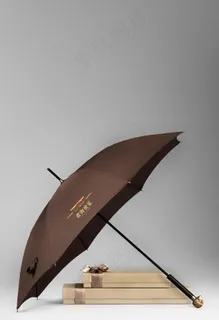 地产雨伞贴图图片