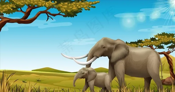 非洲大象图片