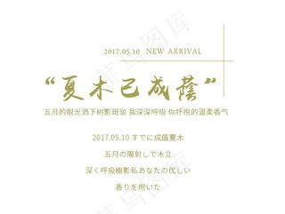 日系 小清新 文艺风格 摄影图片