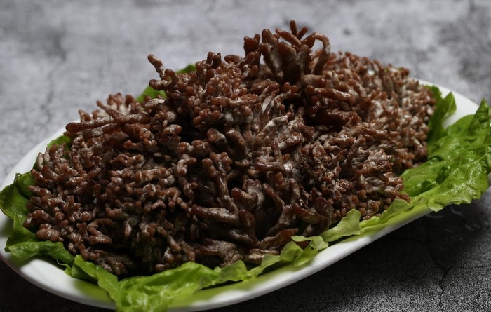 鹿茸菌图片