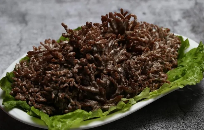 鹿茸菌图片