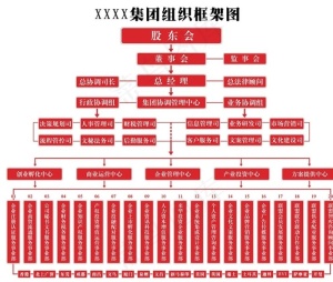 集团组织  框架图图片