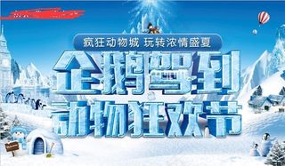 夏季活动 背景企鹅  地产图片