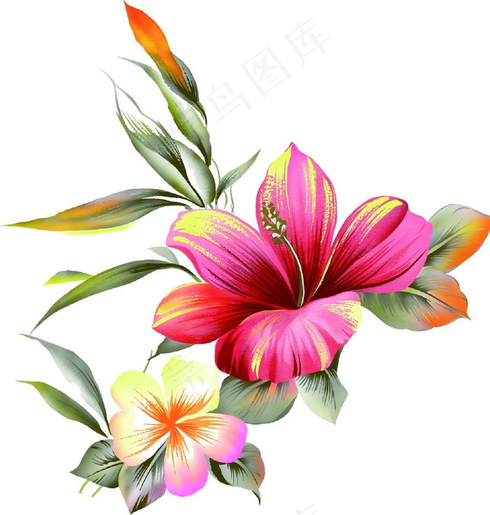 手绘花图片