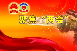 聚焦两会图片