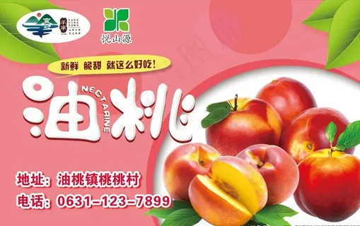 油桃图片 油桃图片
