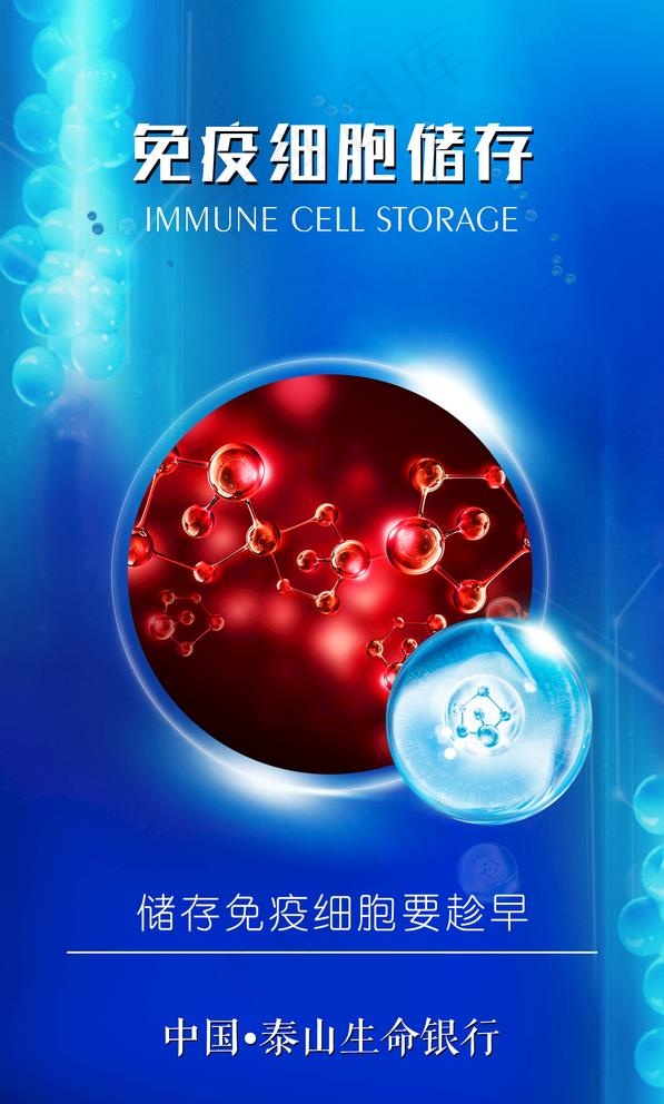 细胞海报图片