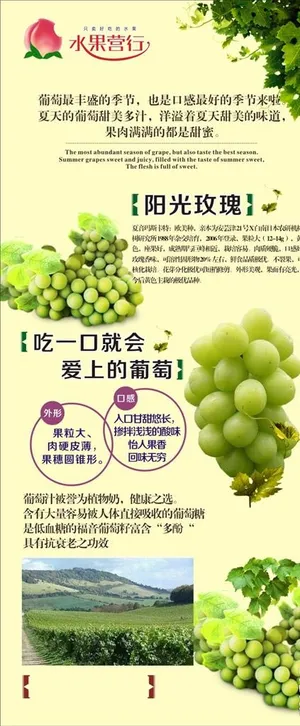 水果营行  展架 葡萄海报图片